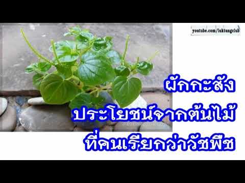 ถ้าสาเหตุหน้าอกเล็ก หน้าอกเล็กเป็นพยาธิวิทยา