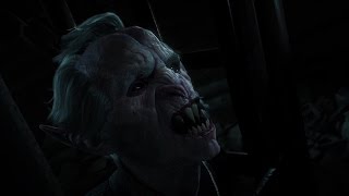 Релизный трейлер Ведьмак 3: Кровь и Вино
