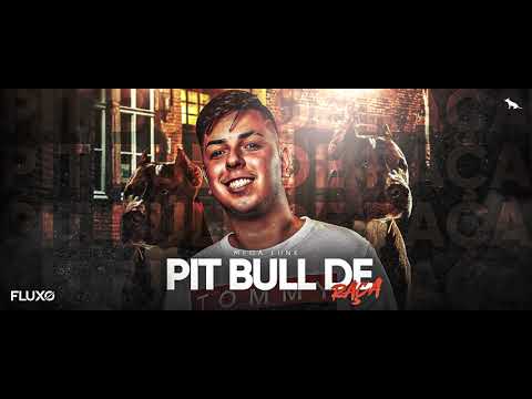 Mega Funk - Pitbull de Raça - DJ Eloir Dias - Dezembro