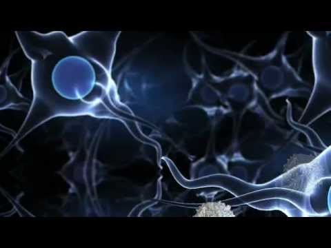 Untangling CCSVI from MS: The Stories, The Science, and the Need for Action