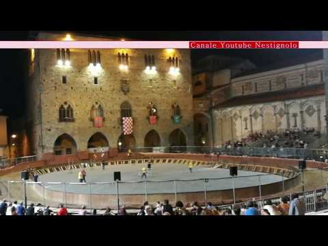 Tuscany - Pistoia - New Regulation of the Bear Orphan since 2017