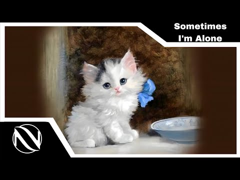 🎵😿 Sometimes I'm Alone | SUBTITULADO EN ESPAÑOL | The Kiffness x Lonely Cat (Singing Cat)