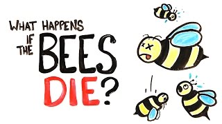 Thumbnail for What Happens If All The Bees Die?