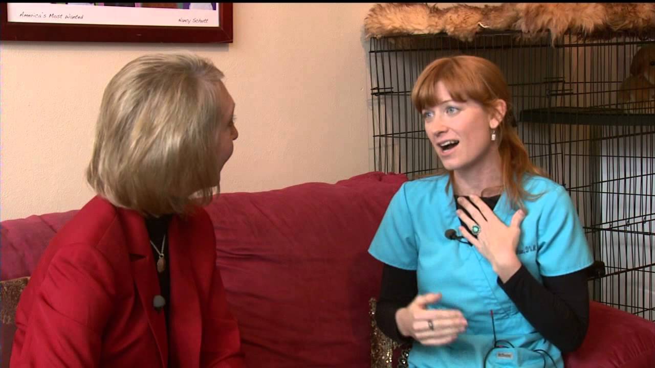 A look at holistic care for animals