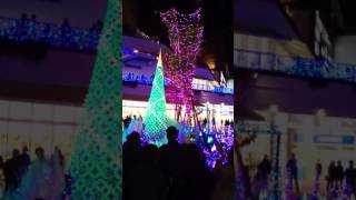 辻堂 2016 イルミネーション 点灯式 1/4