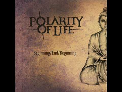 Polarity Of Life - Epiphany
