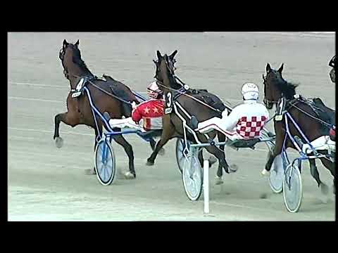 Napoli Trotto 27/02/2022 - 6ª corsa