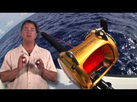 Fishing for Swordfish, in the Daylight!