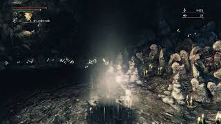 めっちゃ久しぶりに狩人の夢日記「Bloodborne」#17