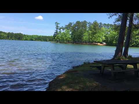 Many beautiful hiking trails around the lake