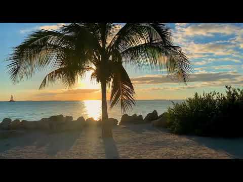 🎼 [FREE] 🎶 [NO COPYRIGHT] 🎼 [Free] Fall PLK x Nekfeu type beat -Rap instru de MekketsuProd