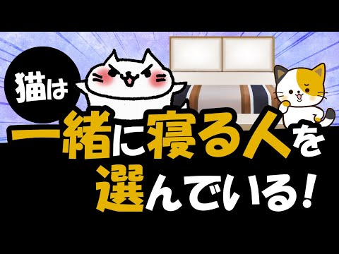 うちの猫が目を開けたまま寝るのはなぜですか?
