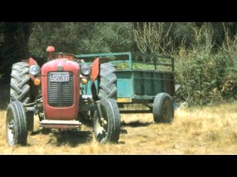 Fennesz - Menthol [Audio] (7 of 13)