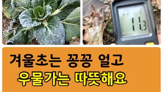옹달샘 샘물이 한겨울에도 얼지않아 온도 측정 해 보니