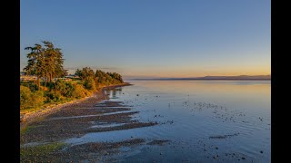 The Bayside Resort's Live Stream in Parksville, British Columbia. live webcam