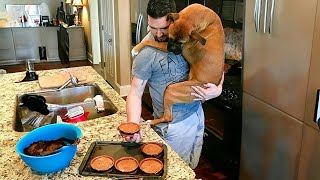 A Man Who Loves Dogs Is A Real Man ❤️️ Cute Dog And Human Moments