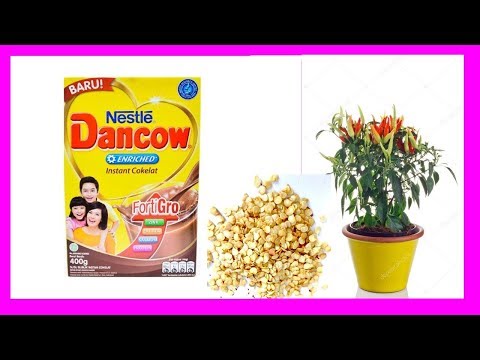 download lagu mp3 mp4 Tips Sehat Jitu, download lagu Tips Sehat Jitu gratis, unduh video klip Tips Sehat Jitu