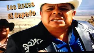 Los RAZOS || El CAPADO 🐂
