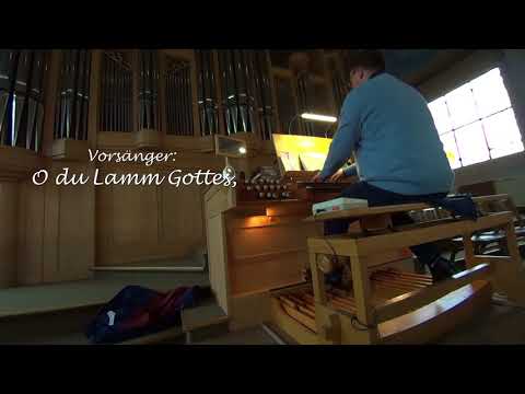 Gotteslob 202- O du Lamm Gottes