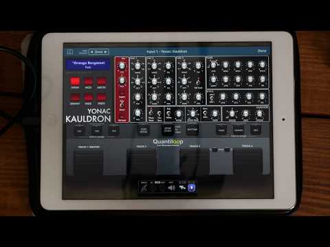 Quantiloop quick loop making Tutorial