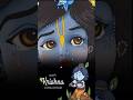 Leela Kare Hai Krishna Murari Radhekrishna Krishna Love Krishnavanionlove