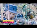 【狙擊手電影】女狙擊手靈機一動，埋伏草叢中，擊殺日軍狙擊手50人！2024🎈 國語4k 🎈 最新電影 #電影 #抗日 #狙擊手