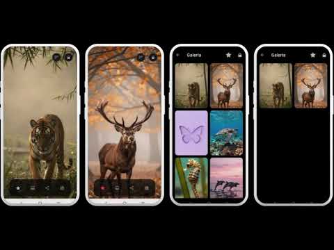 Animal Wallpapers video thumbnail
