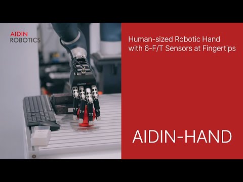 AIDIN Hand Gen1 Review Video 2