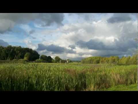 Andris Skuja - Mīļais, nesteidzies!