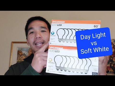 Day Light vs Soft White Bulbs
