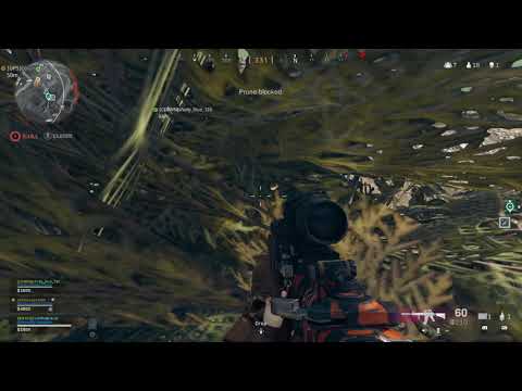 Crazy Finish 2nd Place