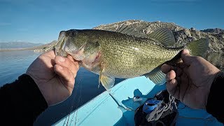Winter Bass Fishing in Southern California! (1st West Coast Bass on Lake Perris)