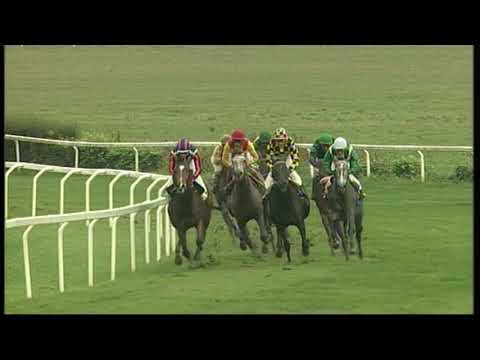 rm 20191112 02 p degiovine