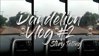 preview picture of video 'Dandelion Vlog #2 Story Telling'