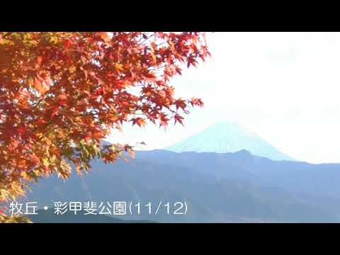 2021年11月【山梨市秋の便り】