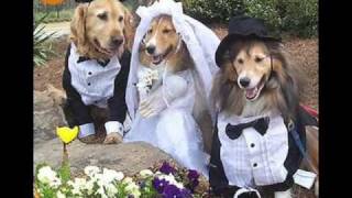 Jaron And The Long Road To Love- That&#39;s Beautiful To Me