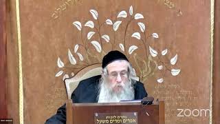 הרה"ג הרב וועכטר שליט"א ט' תמוז תשפ"ד - מאמר הרבי הריי"צ ד"ה כל המאריך באחד חלק ב (הרב אברהם מנחם מענדל וכטר) - התמונה מוצגת ישירות מתוך אתר האינטרנט יוטיוב. זכויות היוצרים בתמונה שייכות ליוצרה. קישור קרדיט למקור התוכן נמצא בתוך דף הסרטון