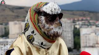 ჰკითხე ცნობილს - რესპოდენტი "ბუ"