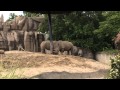 Detroit Zoo 1f