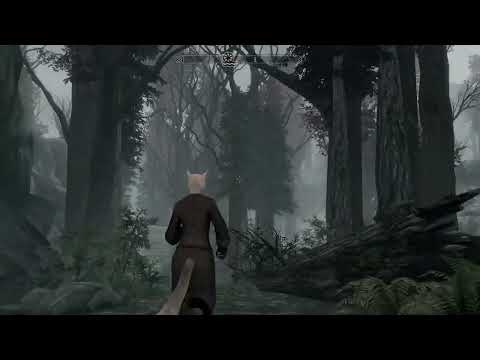 Skyrim in the Fifth Era: The Adventures of a Lilmothiit. Part1.