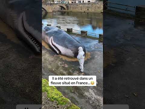 Les images que vous devez voir avant de mourir…😳￼