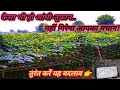 Machaan Kheti Making Machaan Machaan Kaise Banaen Vegetable Farming On Machaan
