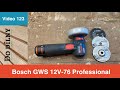 Brusky Bosch GWS 12V-76 Professional 0.601.9F2.000