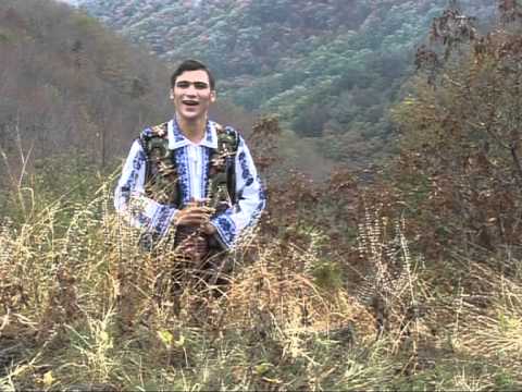 FLORIN SCAUNASU-MANDRULITA DIN MURGASI (COMPOZITIE PROPRIE)