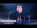 Wildlife In Monsoon Rain Animals In Rainy Season Rain In The Forest