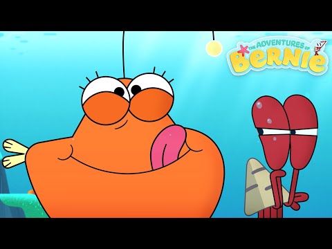 The New Adventures of Bernie 🐶 BERNIE'S PET 🐠 Zig & Sharko - Cartoons for Kids