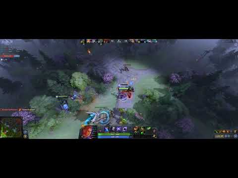 Local Pos 4 Mirana player blames carry for farming