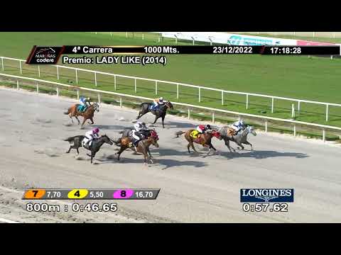 221223 c04 PRINCE LEOPARD