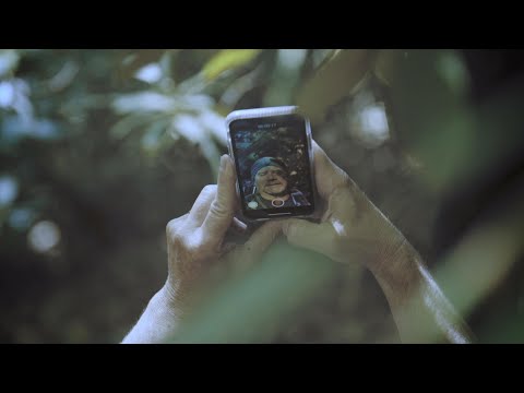 Witness21 Editor  2020 09 11