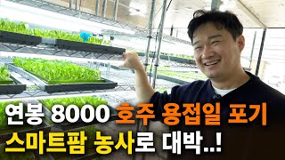 호주에서 연봉 8000 용접일 포기하고, 스마트팜 상추 농사 시작한 30대 청년농부 [스마트팜, 로메인 농사…